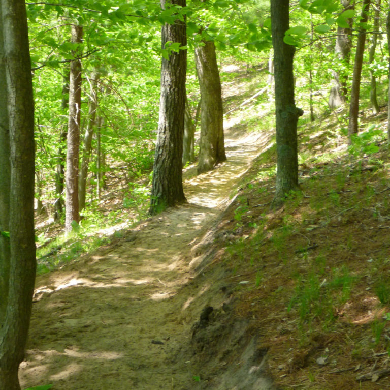 White River Trails City Of White Cloud